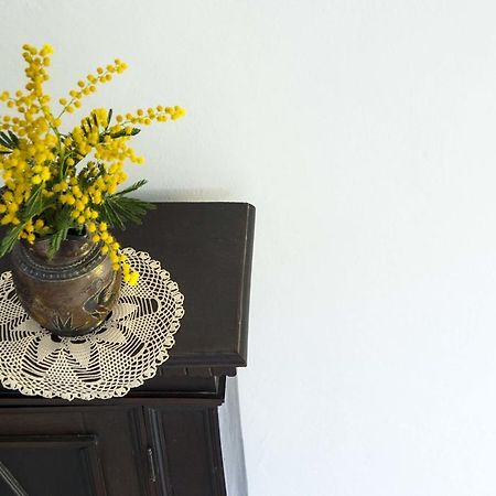 La Villa Nei Fiori Florencja Zewnętrze zdjęcie