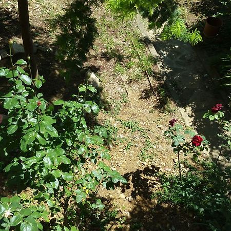 La Villa Nei Fiori Florencja Zewnętrze zdjęcie