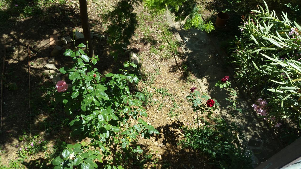 La Villa Nei Fiori Florencja Zewnętrze zdjęcie