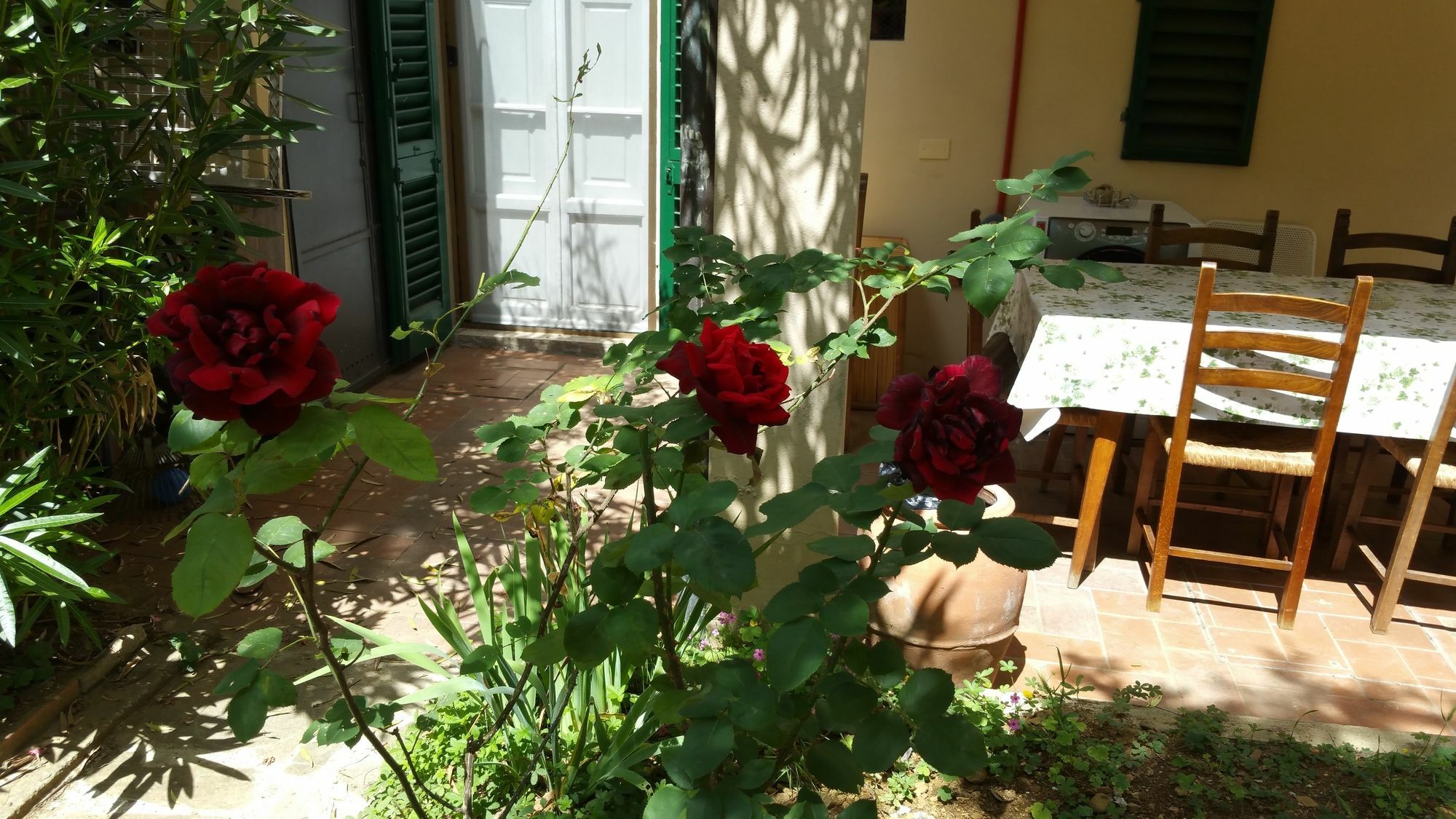 La Villa Nei Fiori Florencja Zewnętrze zdjęcie
